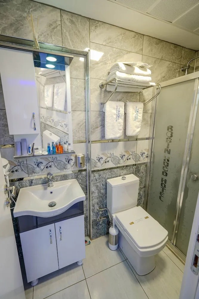 Business Tek Büyük Yataklı Oda, Şehir Manzaralı