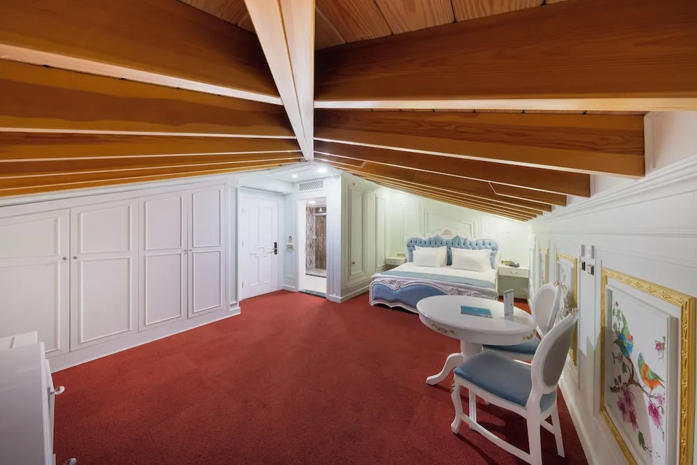Premium Çatı Katı (Loft)