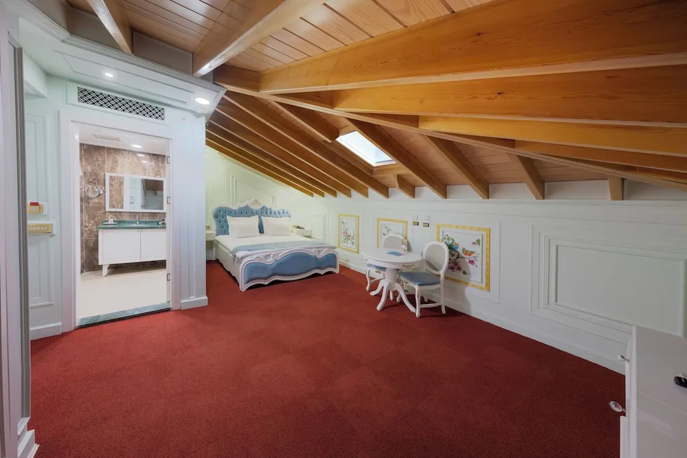 Premium Çatı Katı (Loft)