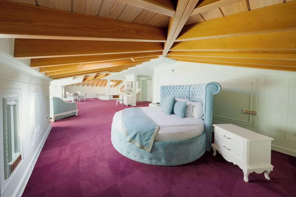 Design Çatı Katı Süiti (Penthouse)