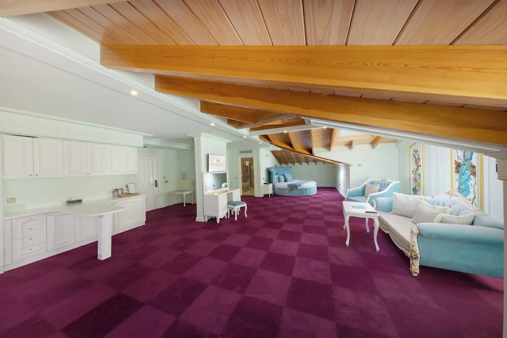 Design Çatı Katı Süiti (Penthouse)