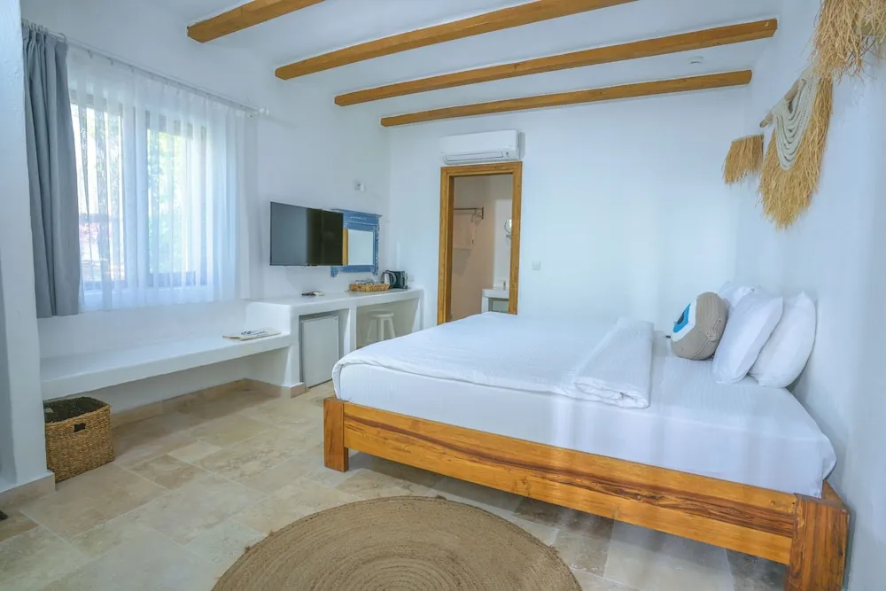 Deluxe Oda, Sigara İçilmez, Bahce Manzaralı