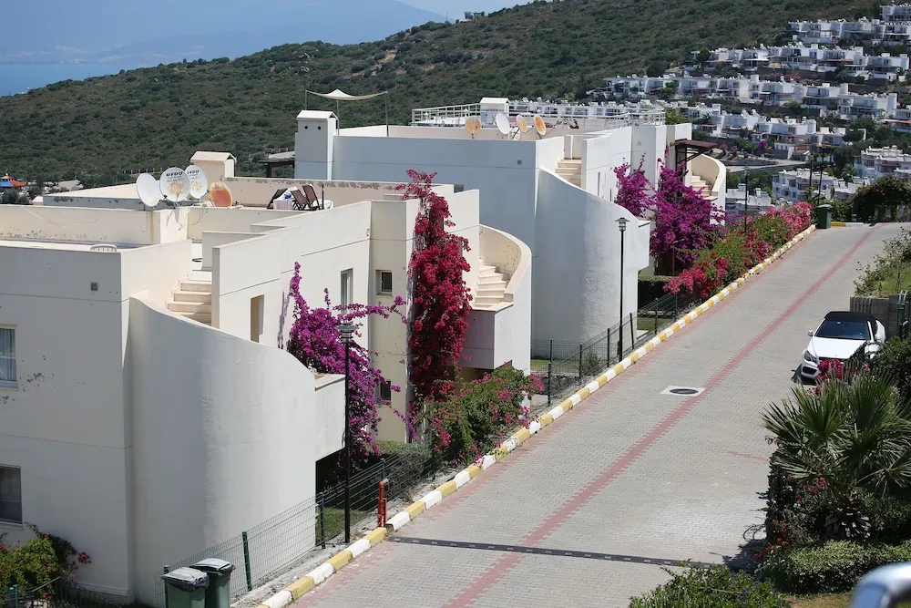 Villa, 1 Yatak Odası