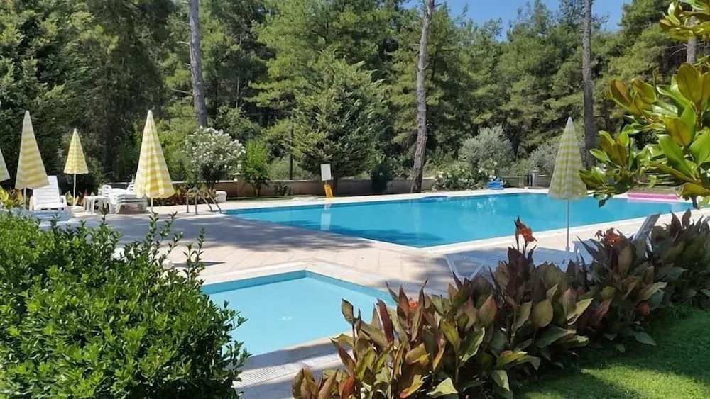 Açık havuz