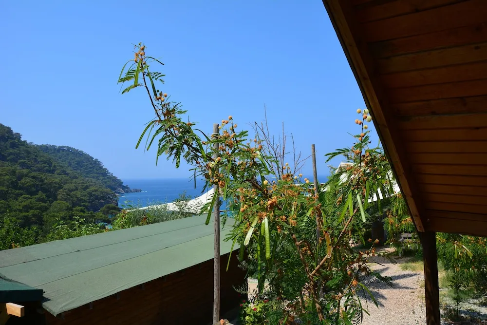 Bungalov (1 Queen Bed, Sea View, Electronic)