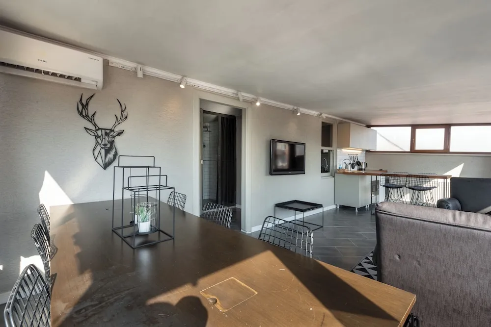Panoramic Çatı Katı Süiti (Penthouse), Şehir Manzaralı