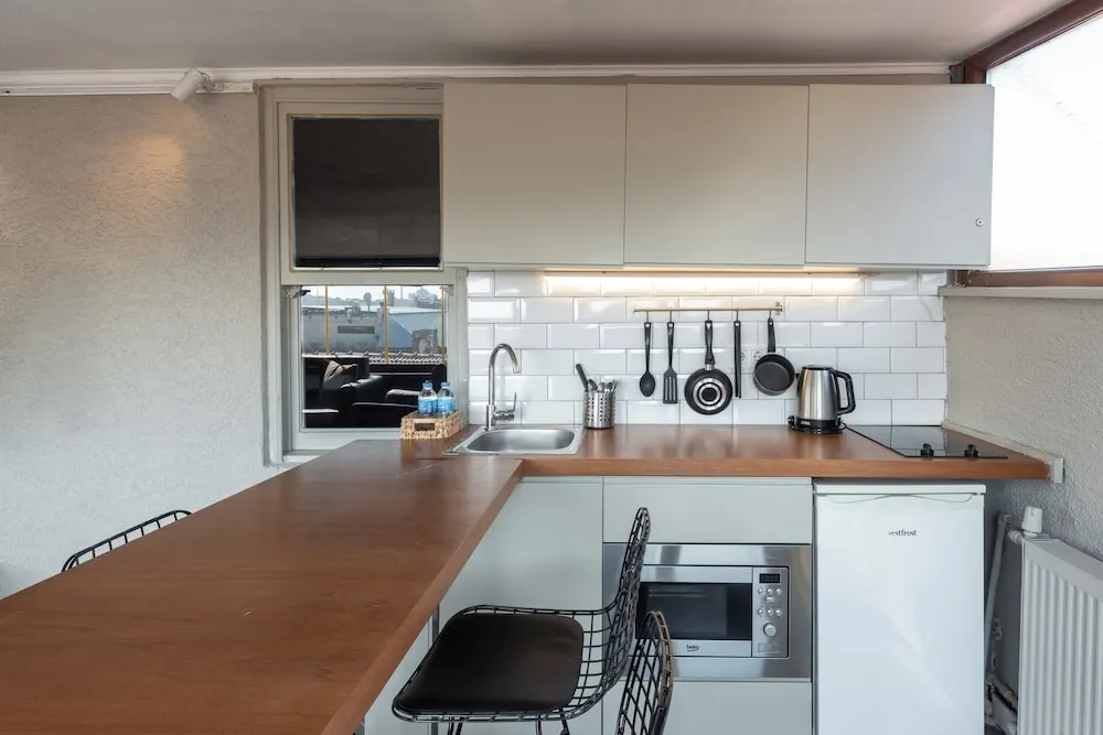 Panoramic Çatı Katı Süiti (Penthouse), Şehir Manzaralı