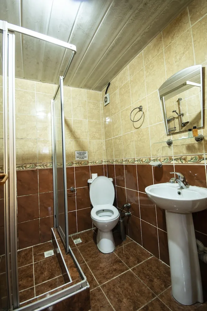 Superior Tek Büyük Yataklı Oda, Şehir Manzaralı