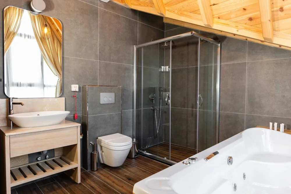 Çatı Katı Süiti (Penthouse)