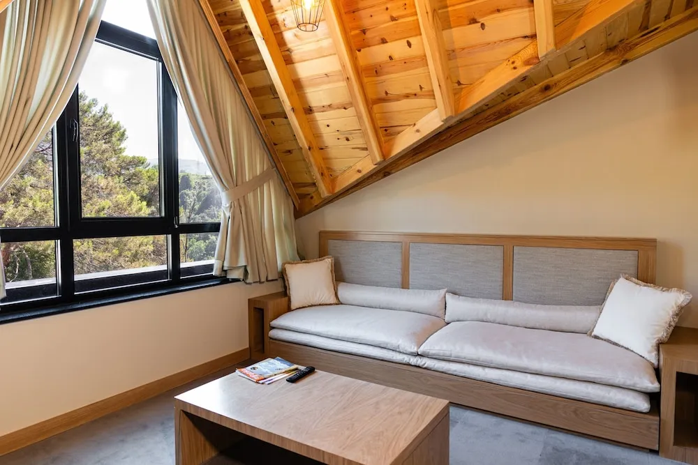 Çatı Katı Süiti (Penthouse)