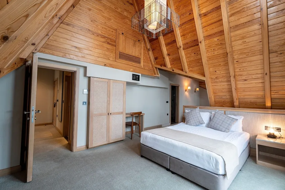 Çatı Katı Süiti (Penthouse)