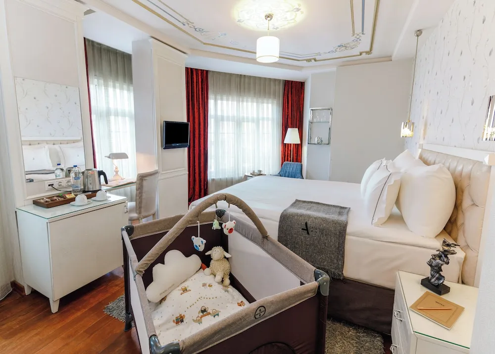 Deluxe Tek Kişilik Oda, 1 Büyük (Queen) Boy Yatak