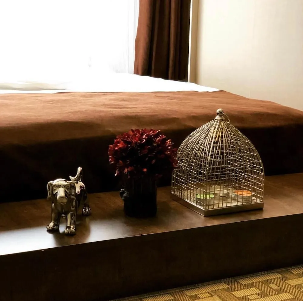 Comfort Stüdyo Süit, Şehir Manzaralı
