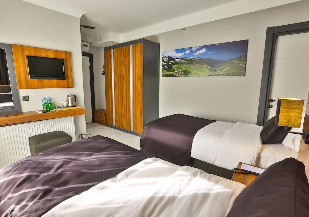 Deluxe İki Ayrı Yataklı Oda, Şehir Manzaralı