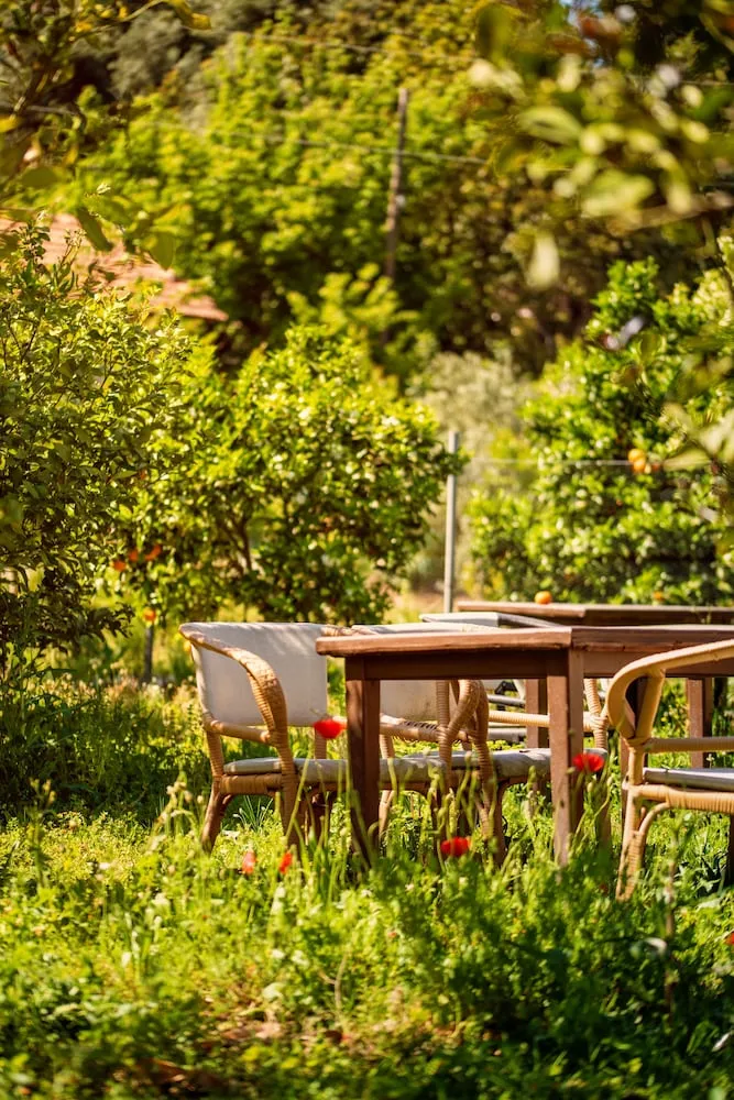 Family Üç Kişilik Oda, Bahçe Manzaralı