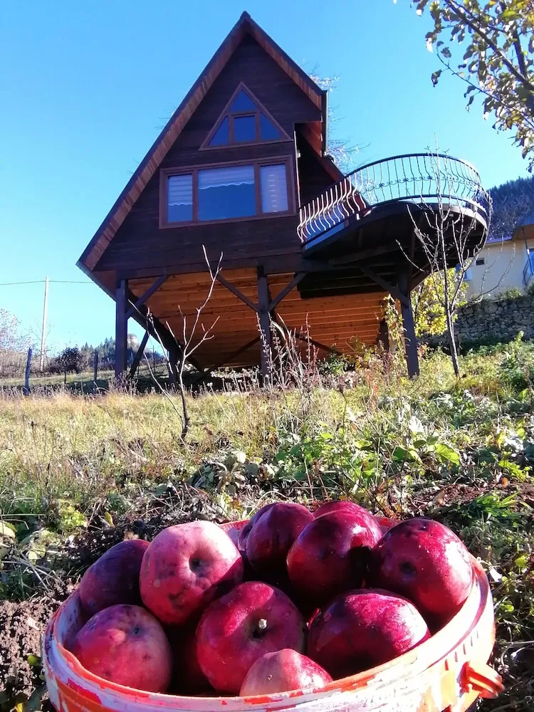 Deluxe Dağ Evi