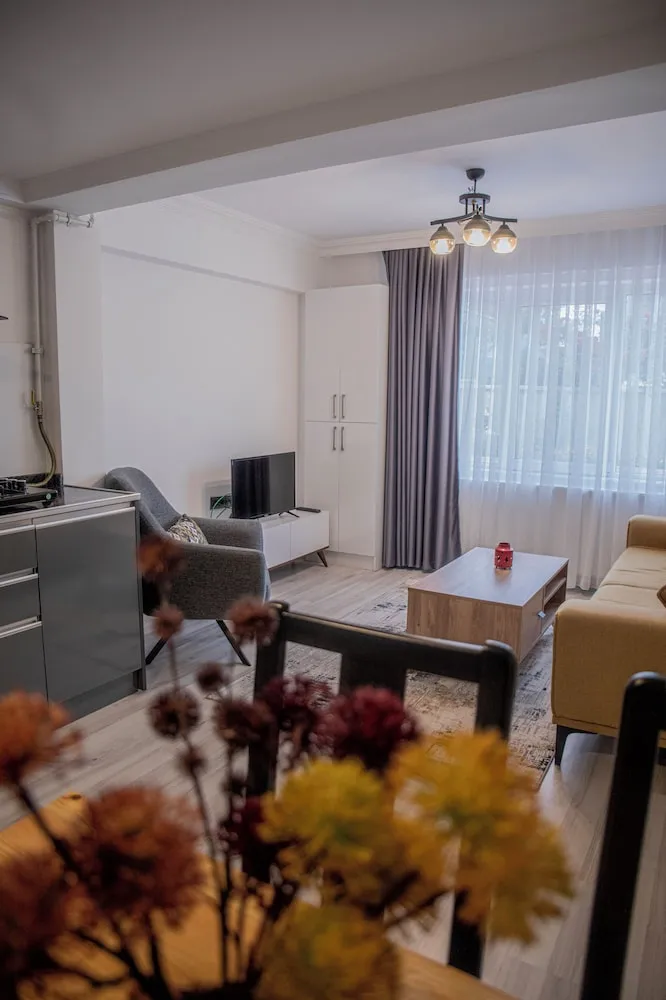 City Daire, 1 Büyük (Queen) Boy Yatak ve Çekyat, Sigara İçilmez, Küçük Mutfak