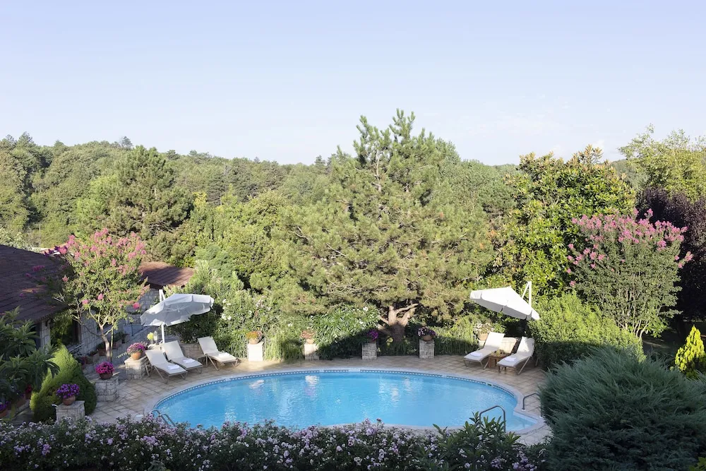 Superior Room with Pool & Forest View