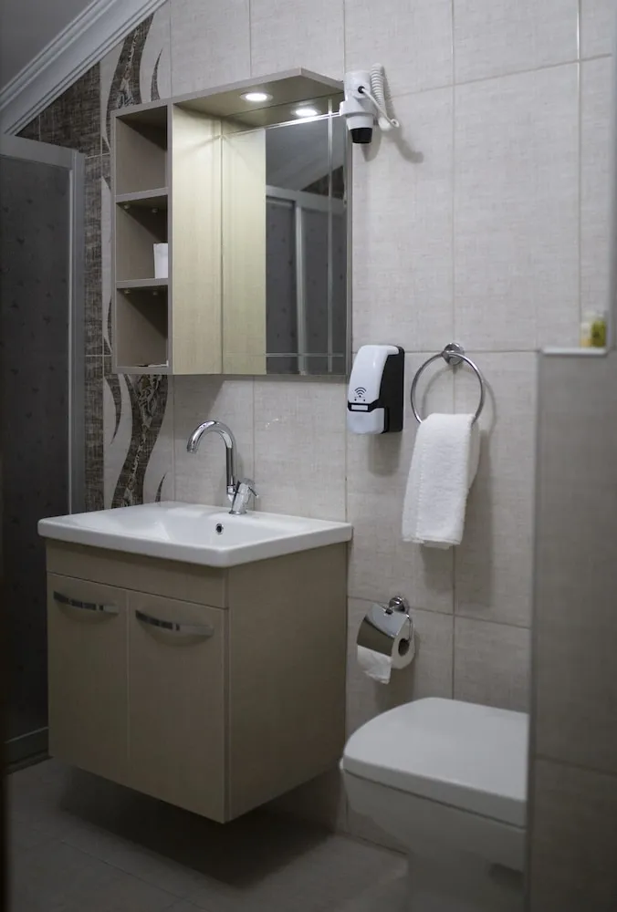 Standard Tek Büyük veya İki Ayrı Yataklı Oda, Şehir Manzaralı