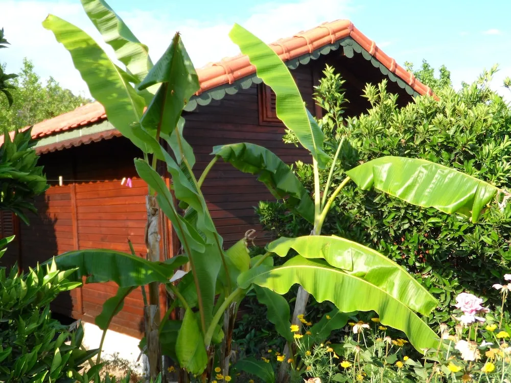 Bungalov
