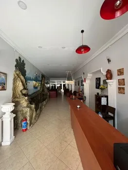Çam Cahithan