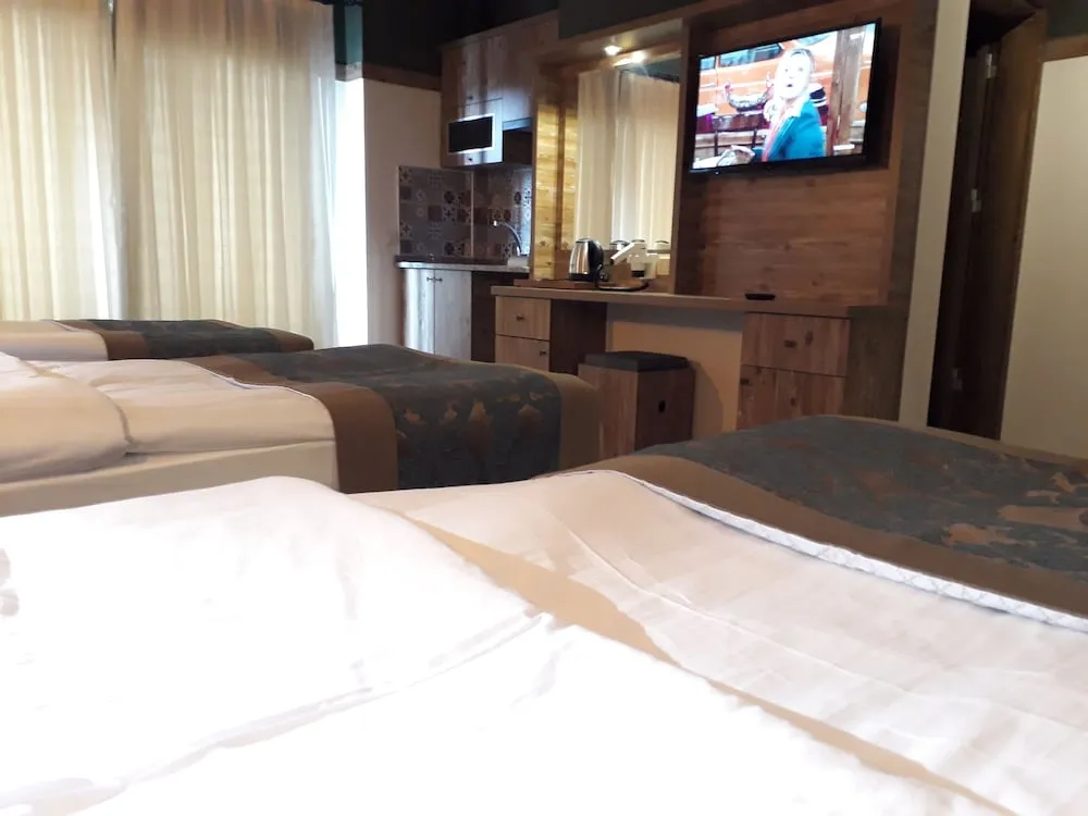 Deluxe Tek Büyük veya İki Ayrı Yataklı Oda