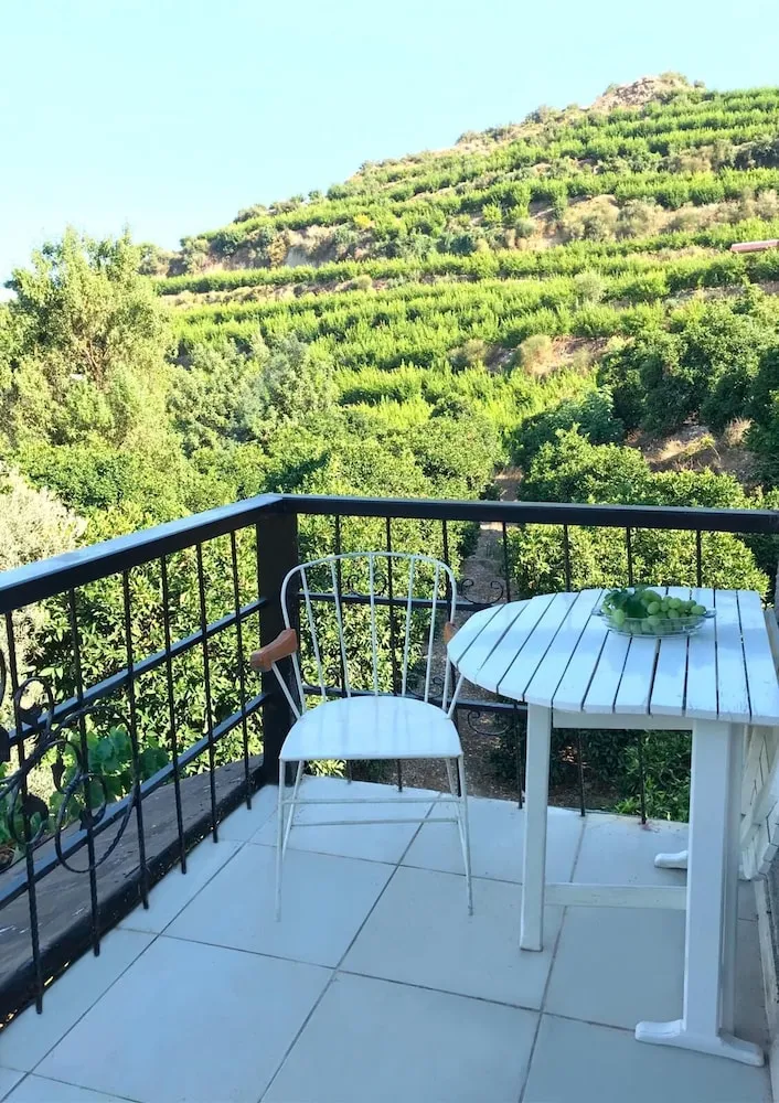 Classic Stüdyo, Birden Çok Yatak (Likya)