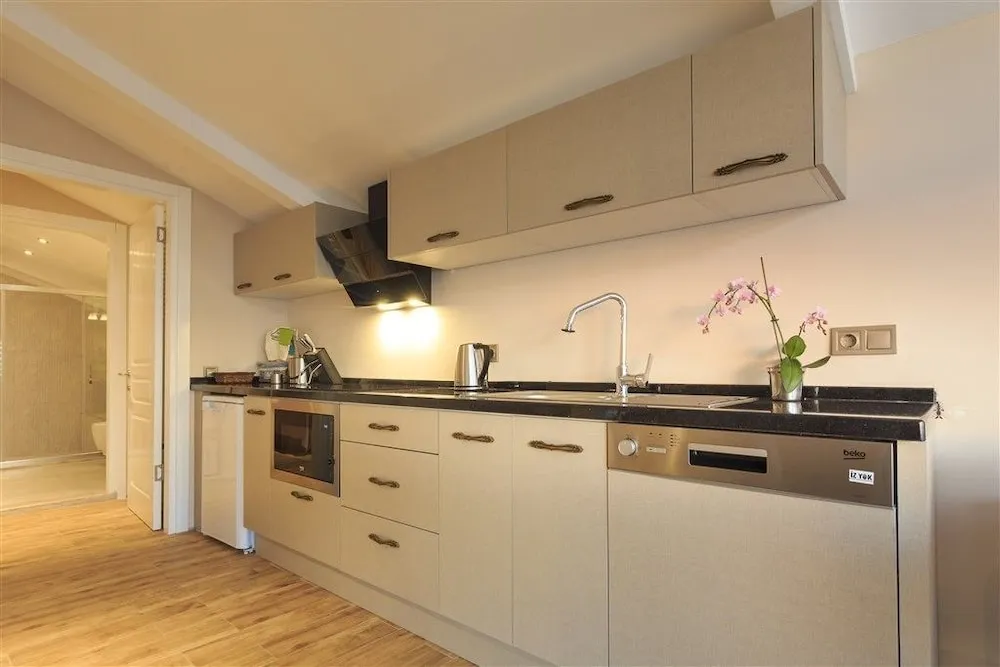 Çatı Katı Süiti (Penthouse), Deniz Manzaralı