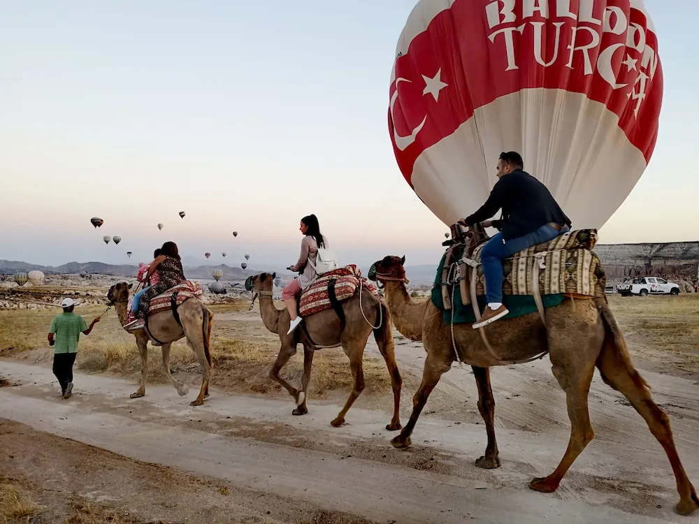 Deluxe Büyük Yataklı Tek Kişilik Oda
