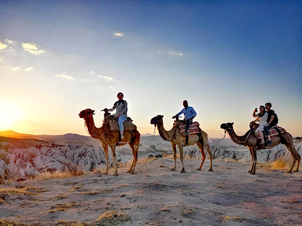 Economy İki Ayrı Yataklı Oda, 1 Yatak Odası, Şehir Manzaralı, Avlu