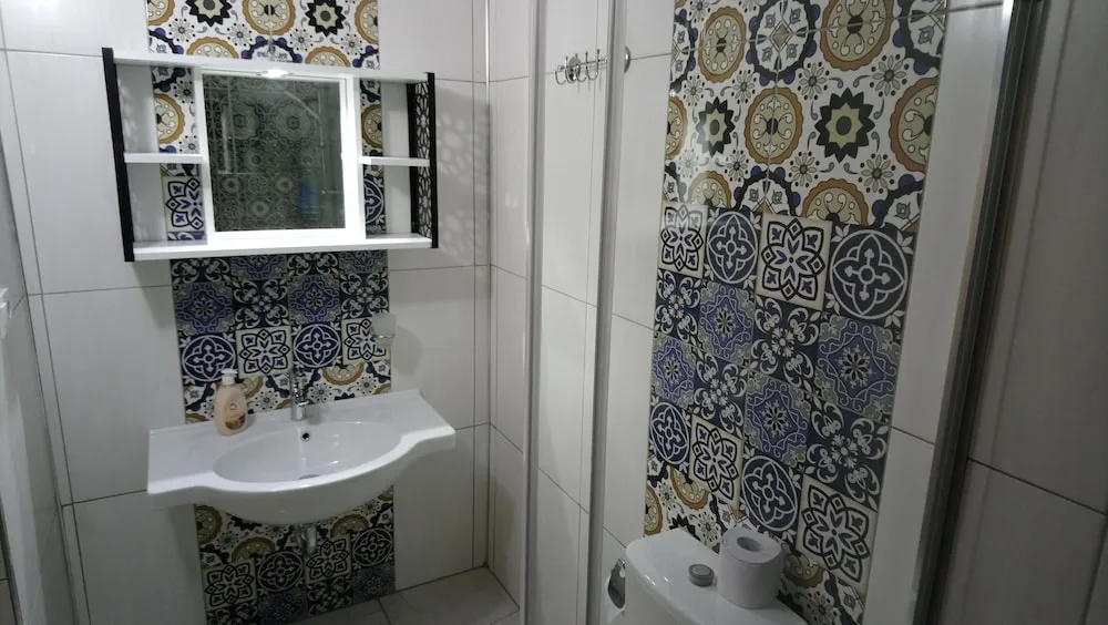 Business Tek Büyük Yataklı Oda, Avlu Manzaralı