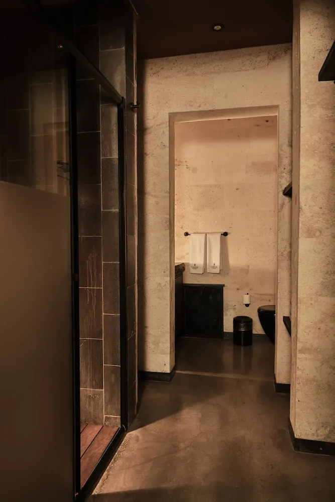 Carus Suite
