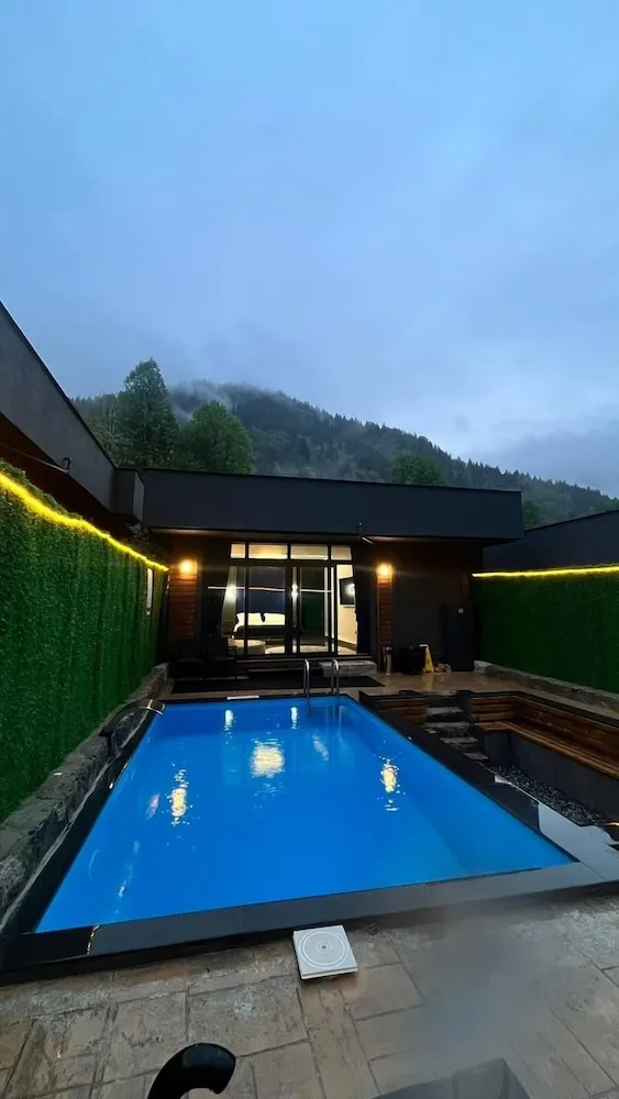 Premium Villa, 1 King Bed, Private Pool 2