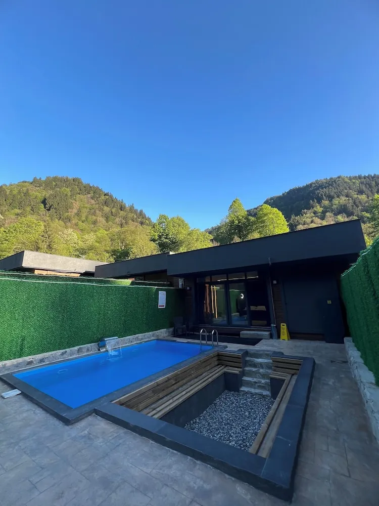 Premium Villa, 1 King Bed, Private Pool 2