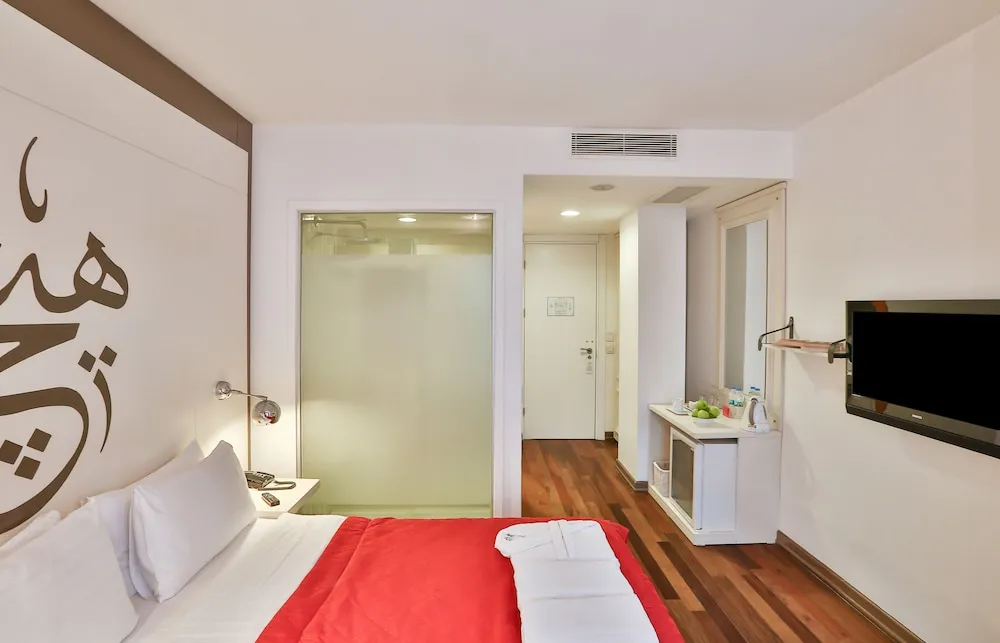 Basic Tek Büyük Yataklı Oda (Basement)