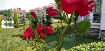 Palace Kırkpınar
