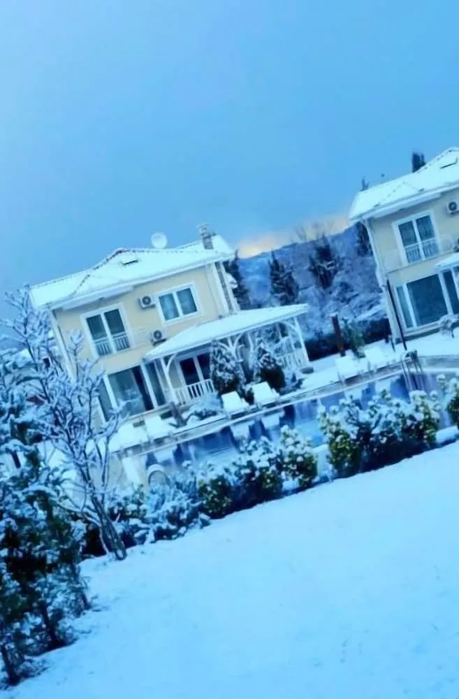 Çiftler için yemek servisi