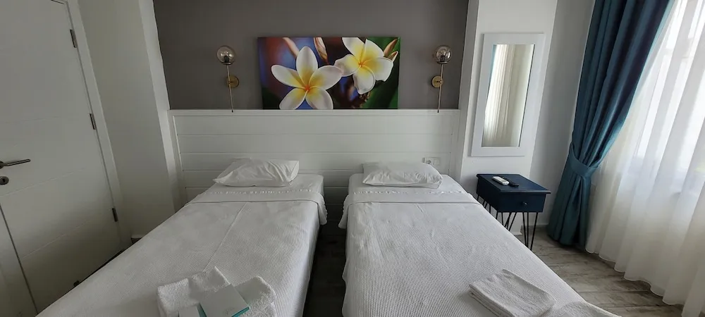 Deluxe Tek Büyük veya İki Ayrı Yataklı Oda