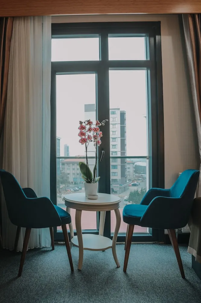 Business İki Ayrı Yataklı Oda, 2 Tek Kişilik Yatak, Şehir Manzaralı