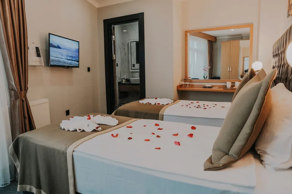 Business İki Ayrı Yataklı Oda, 2 Tek Kişilik Yatak, Şehir Manzaralı