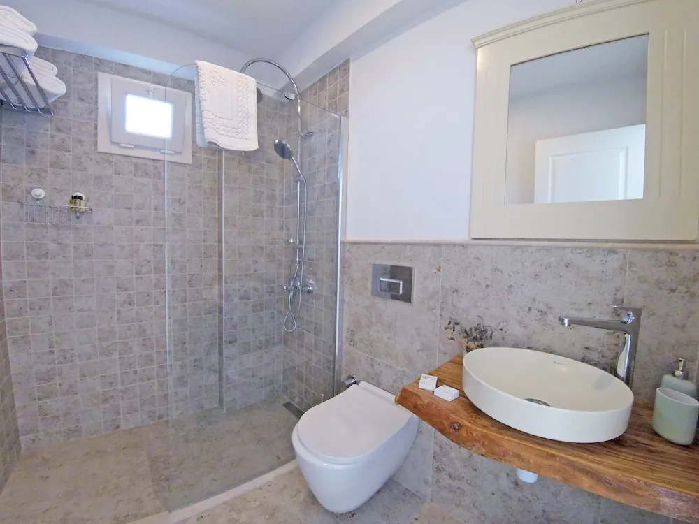 Standard Tek Büyük Yataklı Oda, Bahçe Manzaralı