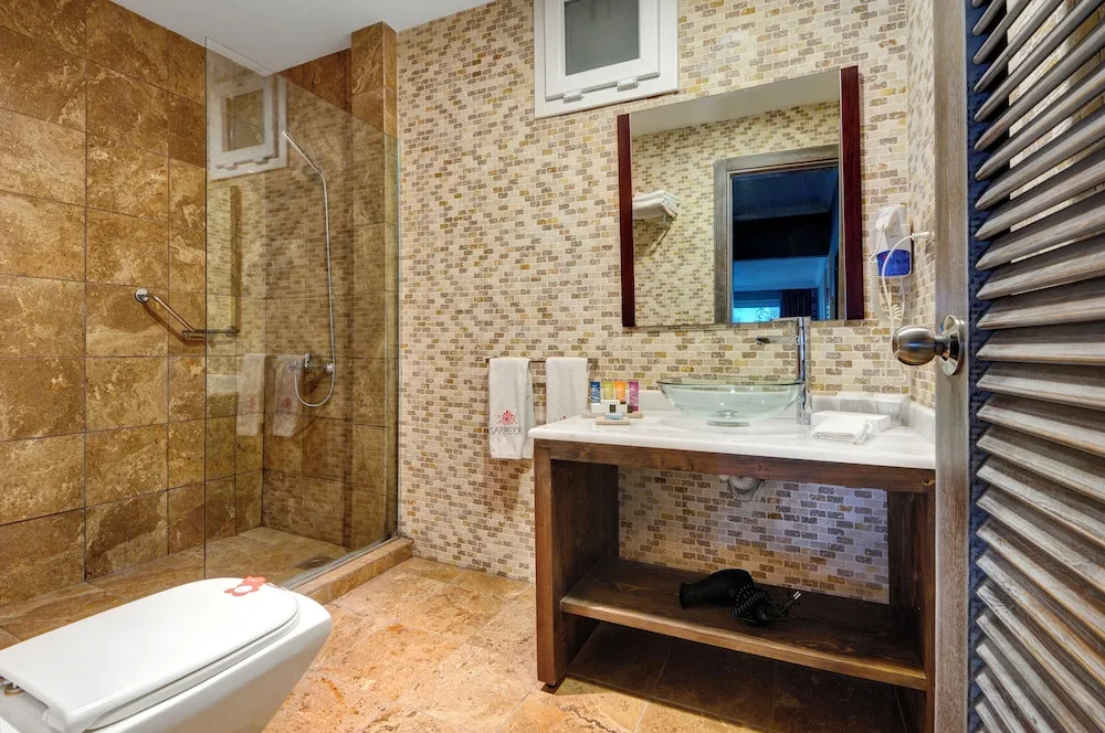 Superior Plus Room