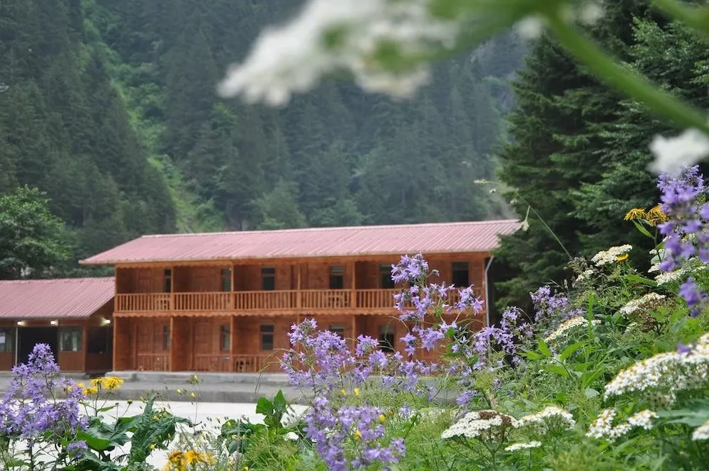 Uzungol Bungalow House