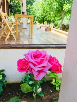 Elisa Butik Otel