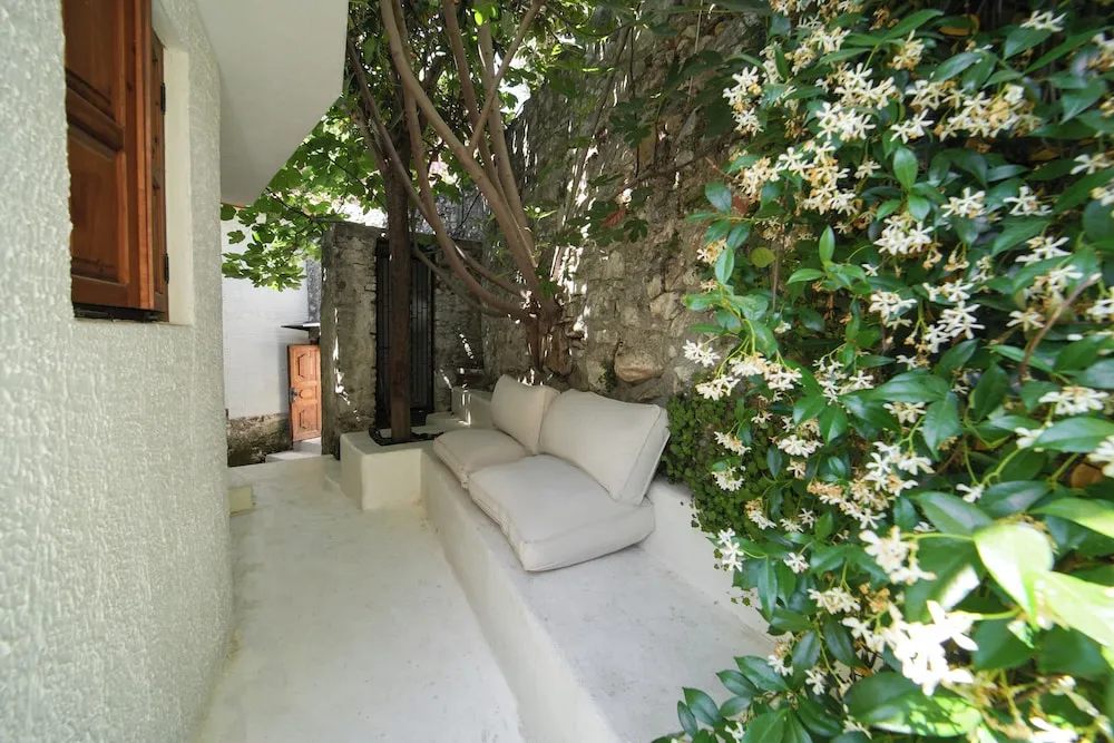 Panoramic Stüdyo Süit