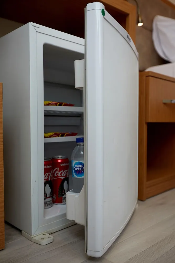 Standard Tek Büyük veya İki Ayrı Yataklı Oda, Şehir Manzaralı