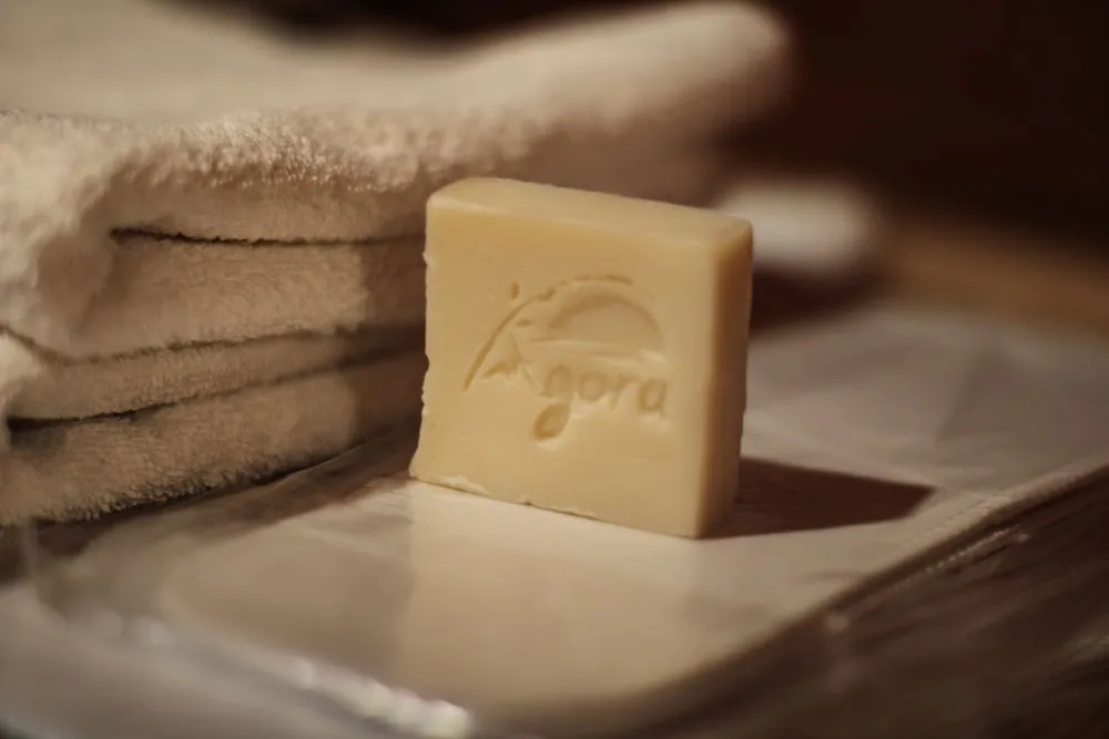 Classic Tek Büyük veya İki Ayrı Yataklı Oda, Birden Çok Yatak, Avlu Manzaralı