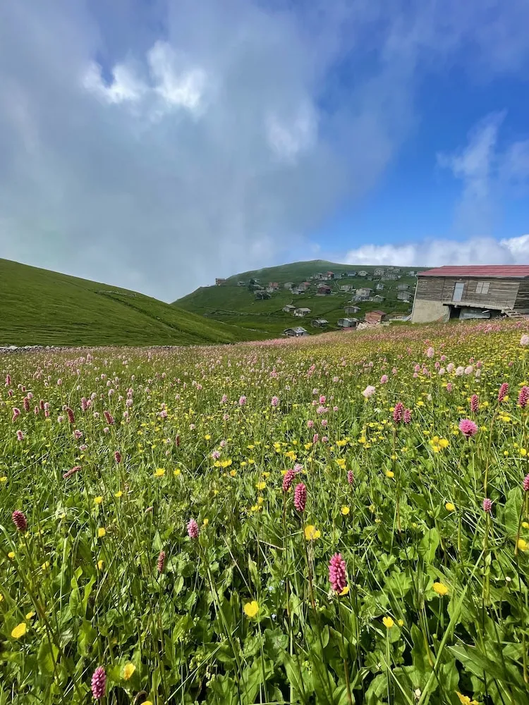 Superior Apart Daire, Dağ Manzaralı