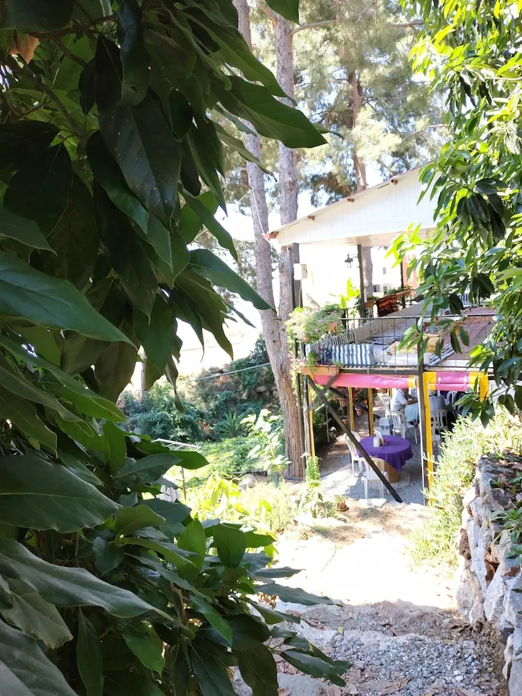 Basic Oda, Birden Çok Yatak, Sigara İçilmez, Kısmi Deniz Manzaralı