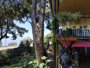 Zeytinada Pansiyon ve Gozleme